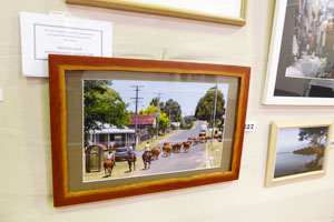 The Goulburn Workers Club Annual Art Prize 2017